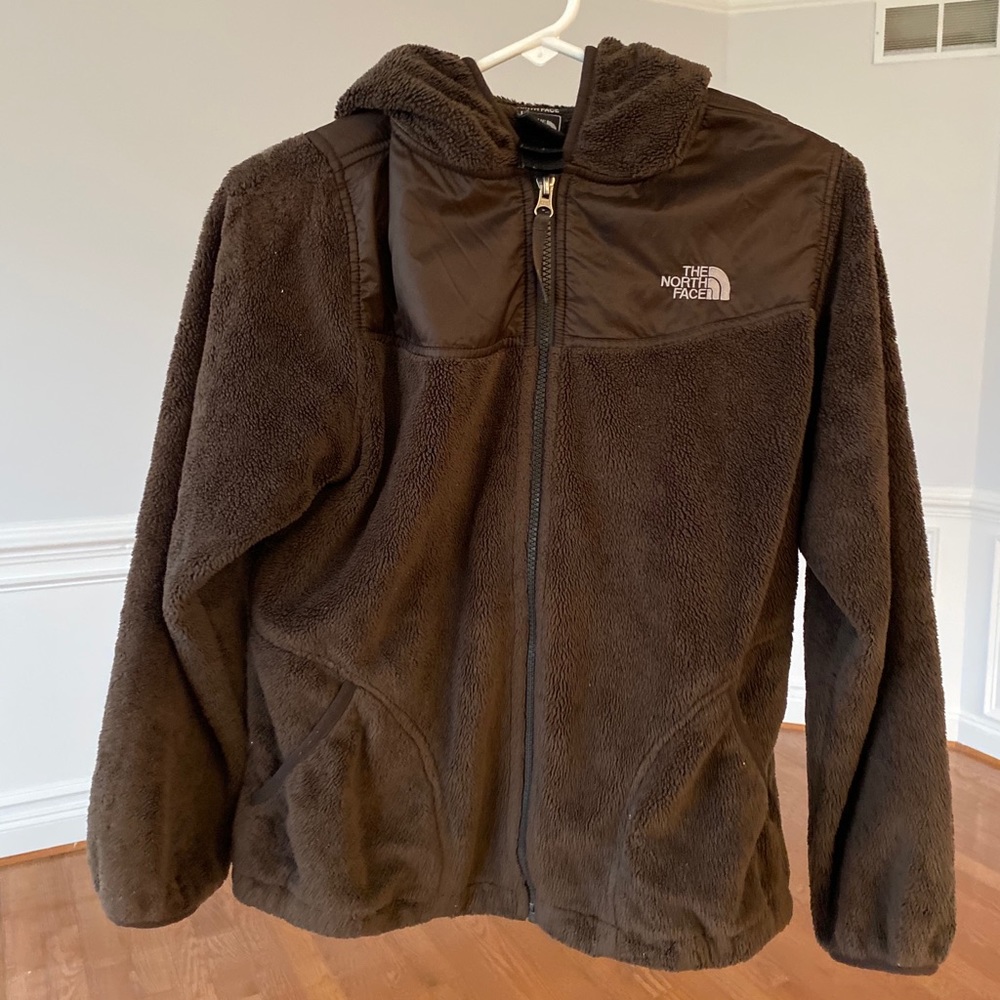 COPY - Brown The North Face Jacket (PRICE NEGOTIABLE)